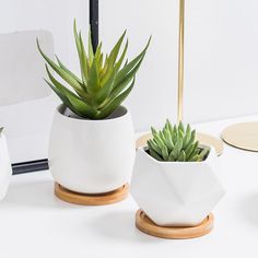 three white planters with succulent plants in them