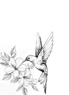 a black and white drawing of a hummingbird flying over flowers