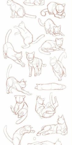 a drawing of cats that are laying down