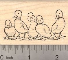 a rubber stamp with three ducks and one duckling sitting on the ground next to a ruler