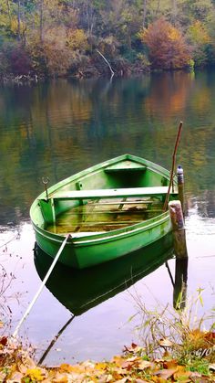 a small green boat sitting on top of a lake next to a shore covered in leaves