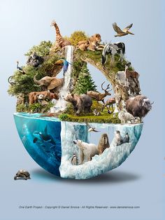 an image of the earth with animals and birds on it's surface, as well as text