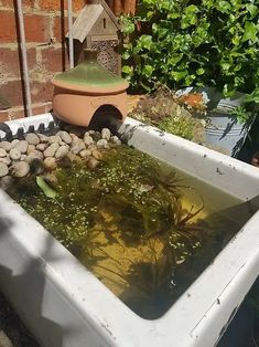 a large tub filled with water and rocks