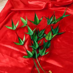 some green leaves laying on top of a red cloth