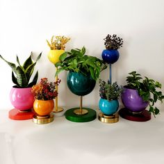 there are many different colored vases with plants in them