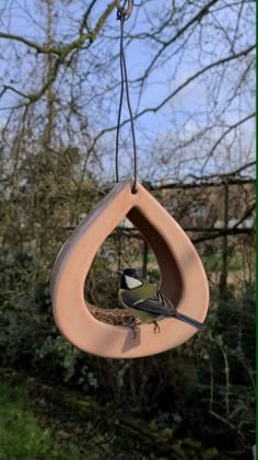 a bird feeder hanging from the side of a tree with a small bird in it