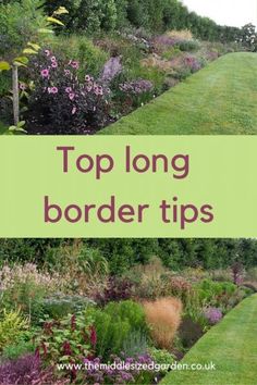 the top long border tips for landscaping