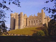 the castle is built on top of a grassy hill with trees in front of it