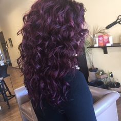 Dark Plum Hair Curly, Plum Dyed Hair, Dark Purple On Curly Hair, Curly Hair Dye Purple, Curly Purple Hair Highlights, Purple Hair On Curly Hair, Purple Red Hair Curly, Plum Purple Curly Hair, Purple Hair Plum