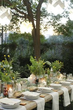 a long table set with plates and place settings for an outdoor dinner in the woods