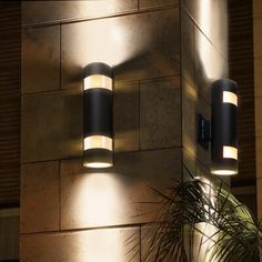 two lights on the side of a building next to a potted plant and palm tree