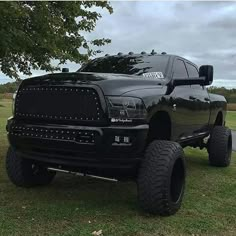 a large black truck parked on top of a lush green field