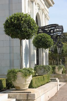 two large planters sitting on the side of a building