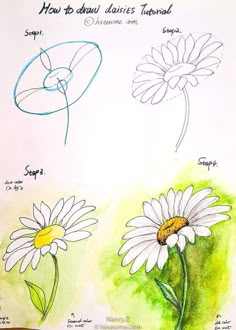 three different types of flowers are shown in this hand drawn drawing style, with the words how to draw daisies