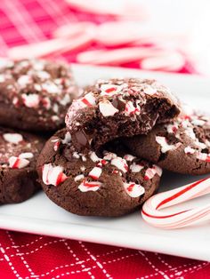 chocolate peppermint cookies on a plate with candy canes