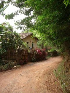 a dirt road in front of a small house surrounded by trees and bushes on both sides