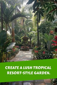 Create a lush tropical resort-style garden. Tropical Gardens Landscape, Lush Tropical Garden, Backyard Beach Landscaping, Shady Tropical Garden Ideas, Tropical Garden Plants Full Sun, Lush Garden Ideas, Tropical Oasis Backyard, Small Tropical Backyard, Tropical Plants Outdoor Full Sun