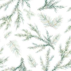 watercolor pine tree branches on white background seamless pattern with green needles and twigs