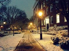 a snowy sidewalk with street lights and trees