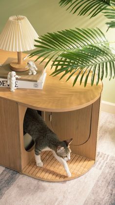 a cat standing inside of a wooden cabinet under a lamp next to a palm tree