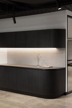 an empty kitchen with black cabinets and white counter tops, along with a plant in the center