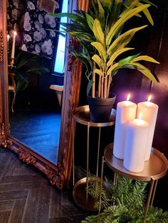 two candles are sitting on a table next to a mirror and potted plant in front of it