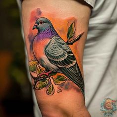 a colorful bird sitting on a branch with leaves around it's neck and arm