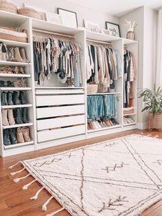 a dog is standing in front of a closet full of clothes and other items on shelves