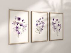 three purple flowers are hanging on the wall in front of a white wall and two framed pictures