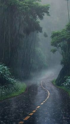 a wet road with trees on both sides and rain falling down the middle, surrounded by greenery