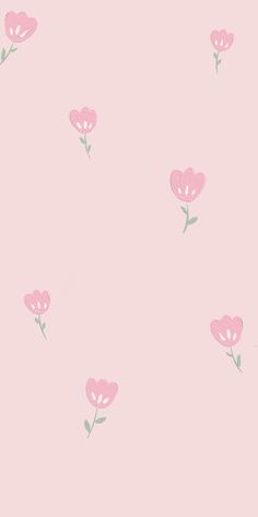 Pink Tulip Wallpaper Iphone, Light Pink Aesthetic Wallpaper Ipad, Ipad Wallpaper Aesthetic Pink Flowers, Cute Aesthetic Wallpaper For Ipad Pink, Light Pink Tulips Aesthetic, Light Pink Tulips Aesthetic Wallpaper, Pink Tulip Background, Light Pink Astetic Wallpaper, Cute Light Pink Wallpapers Aesthetic