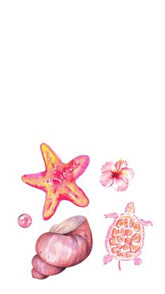 watercolor painting of seashells and starfish on white background