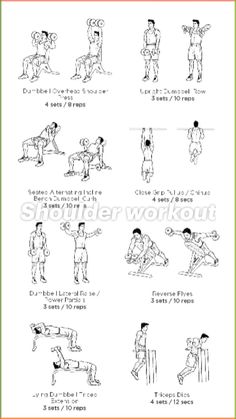 an exercise poster with instructions on how to do the same exercises for each individual body