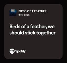 birds of a featherer, we should not stick together with the spotify logo