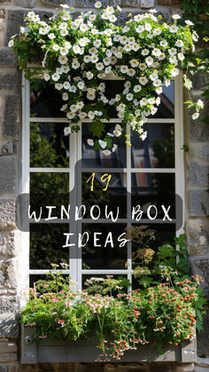 a window box filled with flowers and plants next to a sign that reads 19 window box ideas