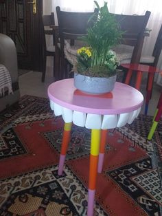 a potted plant sitting on top of a colorful table