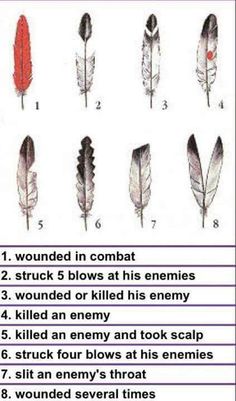 an image of different types of feathers