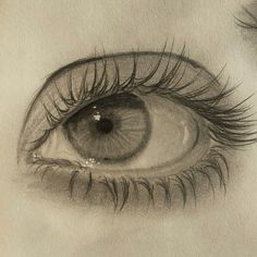 a pencil drawing of an eye with long lashes and eyelashes on top of the iris