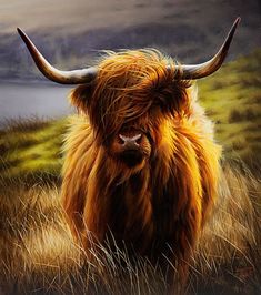 a painting of a long haired bull with large horns standing in tall grass near a body of water