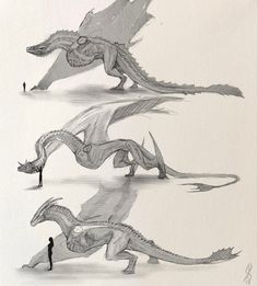 three drawings of dragon like creatures in different positions