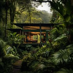 the house is surrounded by lush vegetation and trees