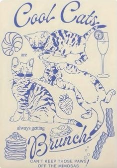 an advertisement for cool cats brunch with two cats on the front and one cat in