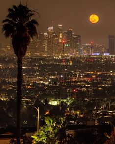 the city lights shine brightly in the night sky as seen from an elevated area with palm trees