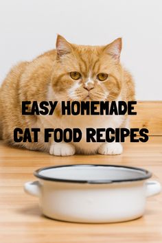 Homemade cat food is one sure way of suring your kitty that you love themHere are our best recipes. Cat Treats Recipes, Homemade Cat Treats Recipes, Homemade Cat Treats, Cat Food Recipe, Diy Cat Food, Raw Cat Food, Cat Food Recipes, Healthy Cat Food, Raw Cat Food Recipes