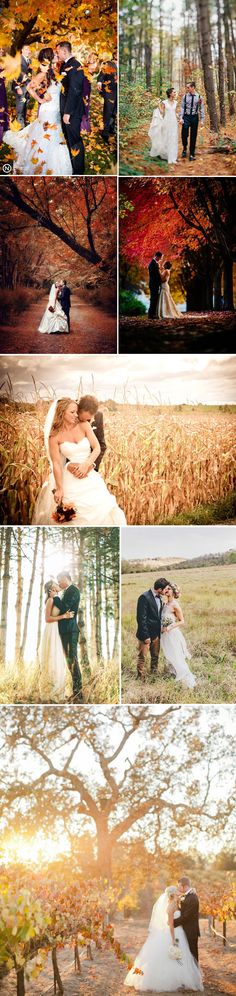 a collage of photos showing the bride and groom in their wedding attire, surrounded by fall foliage