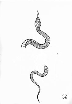 a drawing of a snake on a white background