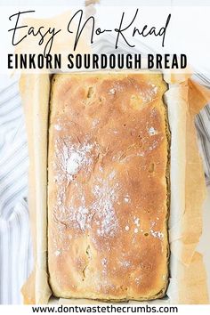 an easy no knead enkon sourdough bread recipe in a loaf pan