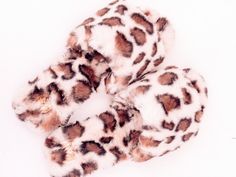 four leopard print slippers on white background