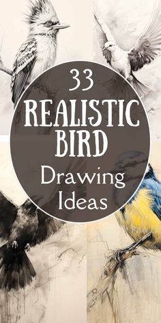 three realistic bird drawings with the words 3 realistic bird drawing ideas on it's side