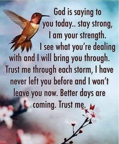 Kelly's Treehouse, God Is Saying, Deep In The Woods, Now Quotes, Better Days Are Coming, Morning Prayer Quotes, Good Morning Spiritual Quotes, Christian Quotes Prayer, Inspirational Quotes God